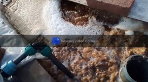 Микроскопия Улучшителя почвы от Плантеко