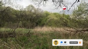 Рыбалка / Места рыбалки / Места отдыха / Река Комаровка / Уссурийск / Природа России