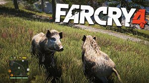 ОХОТИМСЯ И ЗНАКОМИМСЯ С ДИКОЙ ПРИРОДОЙ | ПРОХОЖДЕНИЕ FAR CRY 4 БЕЗ КОММЕНТАРИЕВ