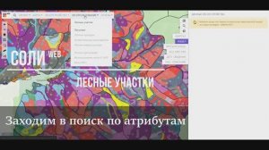 Создание и управления лесными участками в СОЛИweb