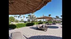 CORAL SEA WATER WORLD 5* - обзор отеля от турагента