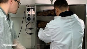 Коптильня для горячего копчения Kocateq DSHS04 | Практическое использование
