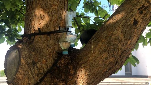 Грише не дают спокойно кушать смотреть онлайн