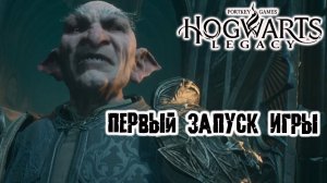 Попробовал этот ваш Hogwarts: Legacy