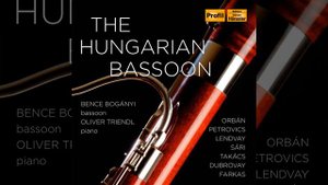 Sonata missoulana, Op. 66: I. Allegro ma non troppo