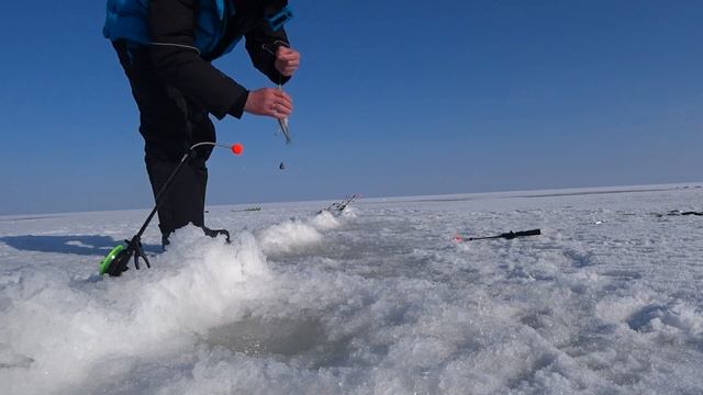 КОРЮШКА. Створ Обручев/Толбухин. Финский залив. смотреть онлайн