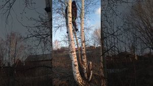 Лабаз самолаз своими руками.