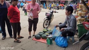 Watermelon Garden Harvest goes to the market sell - Build life farm - Solo Survival