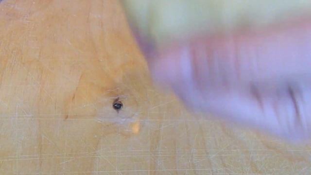 ГОТОВИМ ДОМАШНЕЕ  ПЕСОЧНОЕ ПЕЧЕНЬЕ С ПОМОЩЬЮ ФОРМОЧЕК. РЕЦЕПТЫ ОТ АЛЛЫ