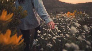 Олег Капралов - Ты прости/ Hi-Fi