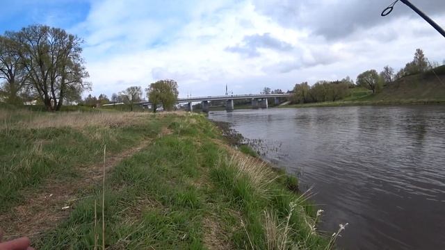 Пилькеры . Как поймать жереха .