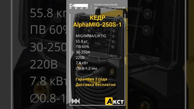 КЕДР AlphaMIG-250S-1 в Благовещенске