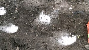 ЧТО ДОБАВИТЬ В ЛУНКИ ПРИ ПОСАДКЕ КАПУСТЫ