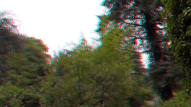 The plants 3D anaglyph смотреть онлайн