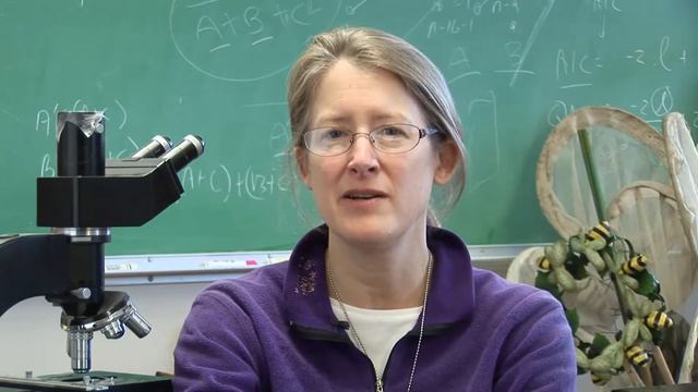 Improving your local bee community - Citizen Science: Bee curious! смотреть онлайн