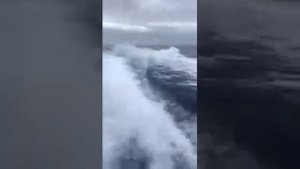 Чукотка.Бухта Провидения. Это надо посмотреть😄
