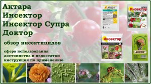 Актара, Инсектор, Доктор - эффективные средства от сосущих и листогрызущих вредителей. Обзор