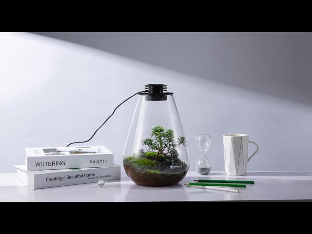 Микрокосм - Bioloark