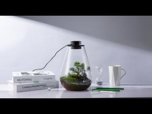 Микрокосм - Bioloark