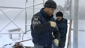 Строительство цветочного тепличного комплекса