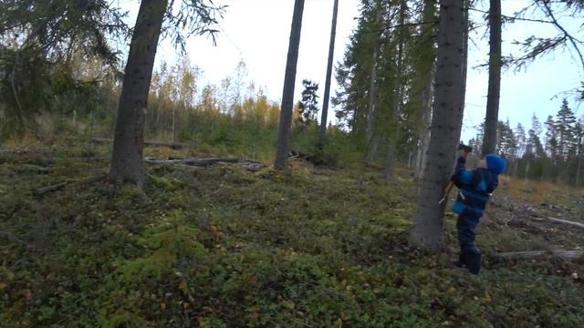 Каникулы "Золотая осень" смотреть онлайн