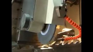 Станок для заточки широких ленточных пил мод. PNK-SP