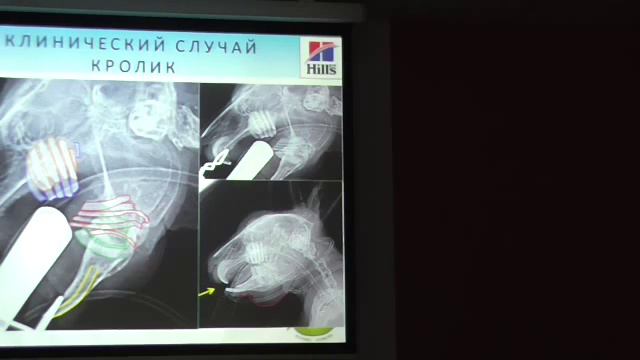 Стоматология Кроликов 19 смотреть онлайн