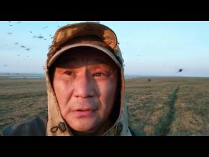 Комары в Якутии