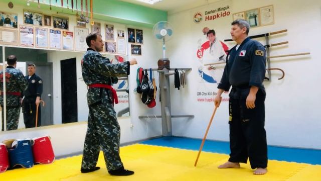 Cane Hapkido Lesson #2