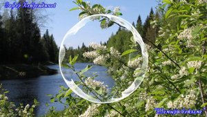 Зуфар Хайретдинов - Шомырт бэйлэме [Татарские Песни]
