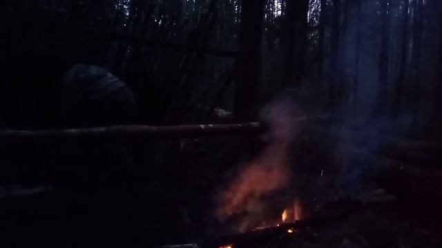 Сутки в лесу. | Ночую в укрытии. | Лесной огород. смотреть онлайн