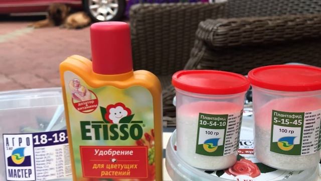 УДОБРЕНИЯ ДЛЯ ЦВЕТОВ.