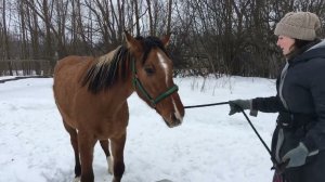 ИГРЫ КОНЧАЛИСЬ ДОКТОР НАЧИНАЕТ РАБОТАТЬ НЕ ОЖИДАЛ ЭТО УВИДЕТЬ НА РЕКЕ! ЖИЗНЬ ПРОСТЫХ ЛЮДЕЙ В ДЕРЕВНЕ