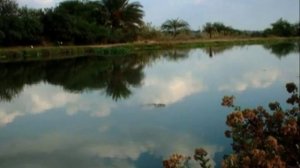 География 62. Египет — Шишкина школа