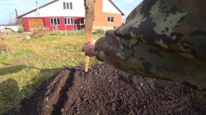 ПОСАДКА ЧЕСНОКА БУЛЬБОЧЕК С СЫНОМ!!! #40