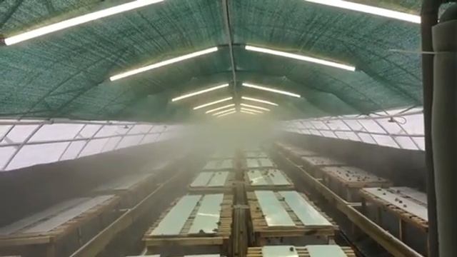 Система туманообразования для улиток смотреть онлайн