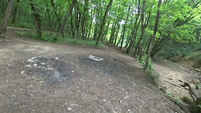 татарский лес в Ставрополе