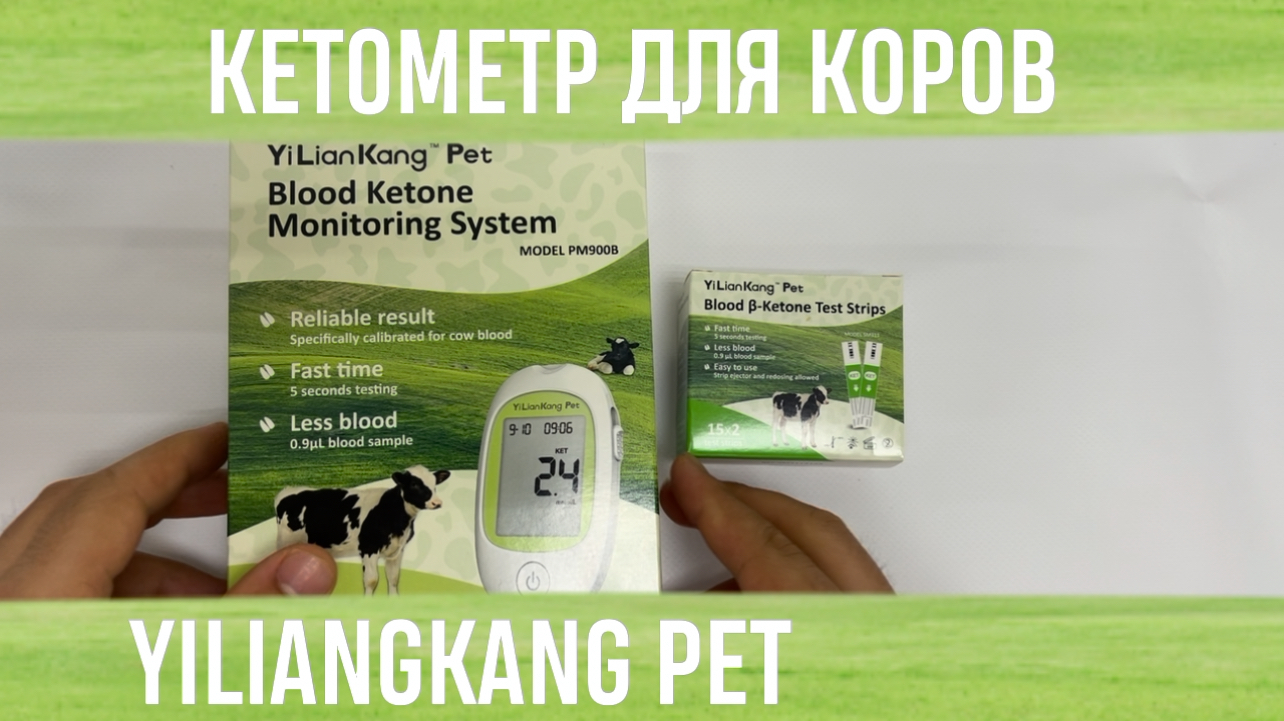 ОБЗОР НА КЕТОМЕТР ДЛЯ КОРОВ(КРС) YILIANKANG PET НА РУССКОМ ЯЗЫКЕ