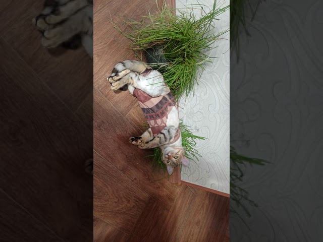 31 августа 2021 г. смотреть онлайн