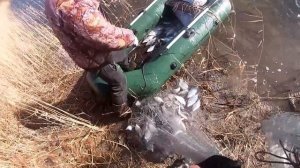 СУПЕР РЫБАЛКА, МЕШОК РЫБЫ ЗА ЗАБРОС.