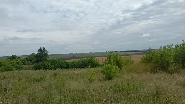 Тульская область, Плавский район.
