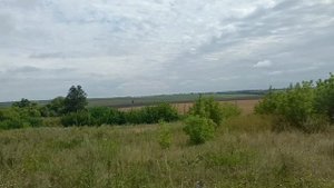 Тульская область, Плавский район.
