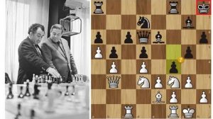 Гуфельд наказывает противника за беспечную атаку! Шахматы