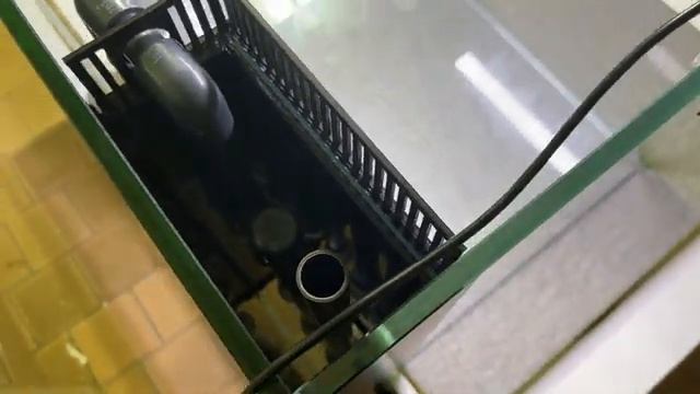 Сделали морской аквариум как Elos Midi Marine, только лучше. смотреть онлайн