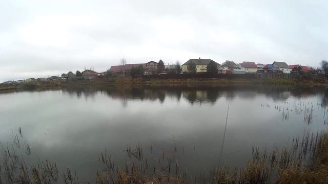 ЖИРНЫЕ ОКУНИ НА ОТВОДНОЙ ПОВОДОК