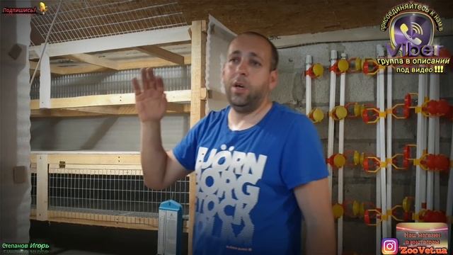 Бройлеры! Моя ферма Чёрный Бройлер смотреть онлайн