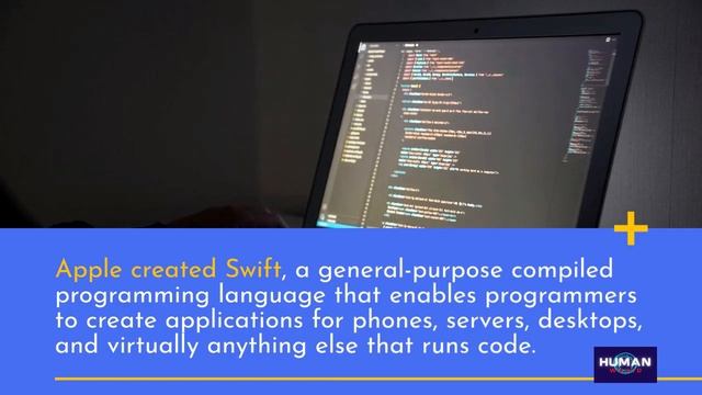 Top 10 Fastest Growing Programming Languages in the New Year