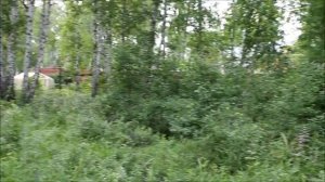 Продам участок в СНТ Вишневый. Купить земельный участок в Челябинске