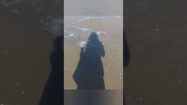 Венера ретроградная ???