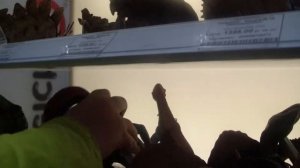 Фигурки животных в магазине Леонардо